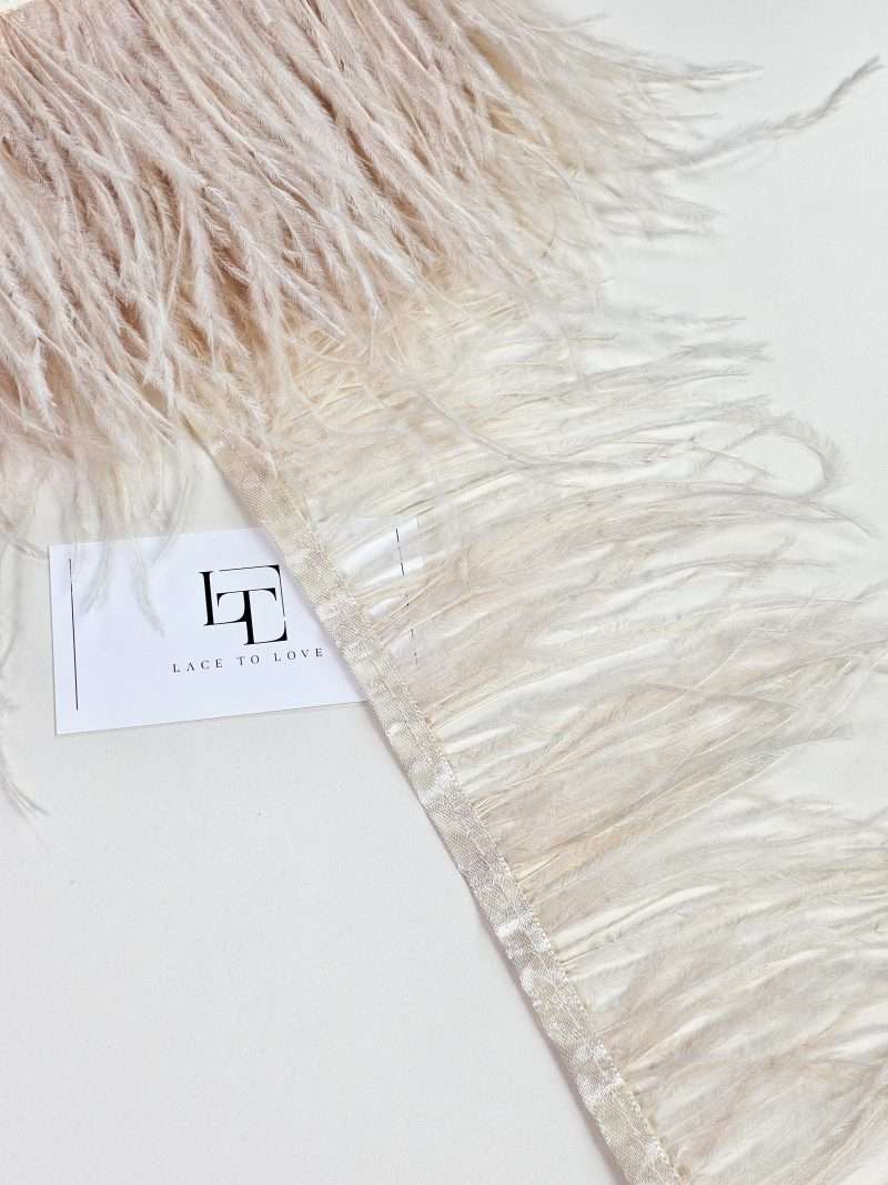 Pale beige ostrich feather fringe on a ribbon