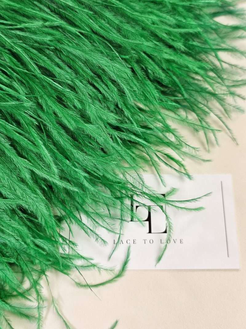 Bright green ostrich feather fringe on a ribbon