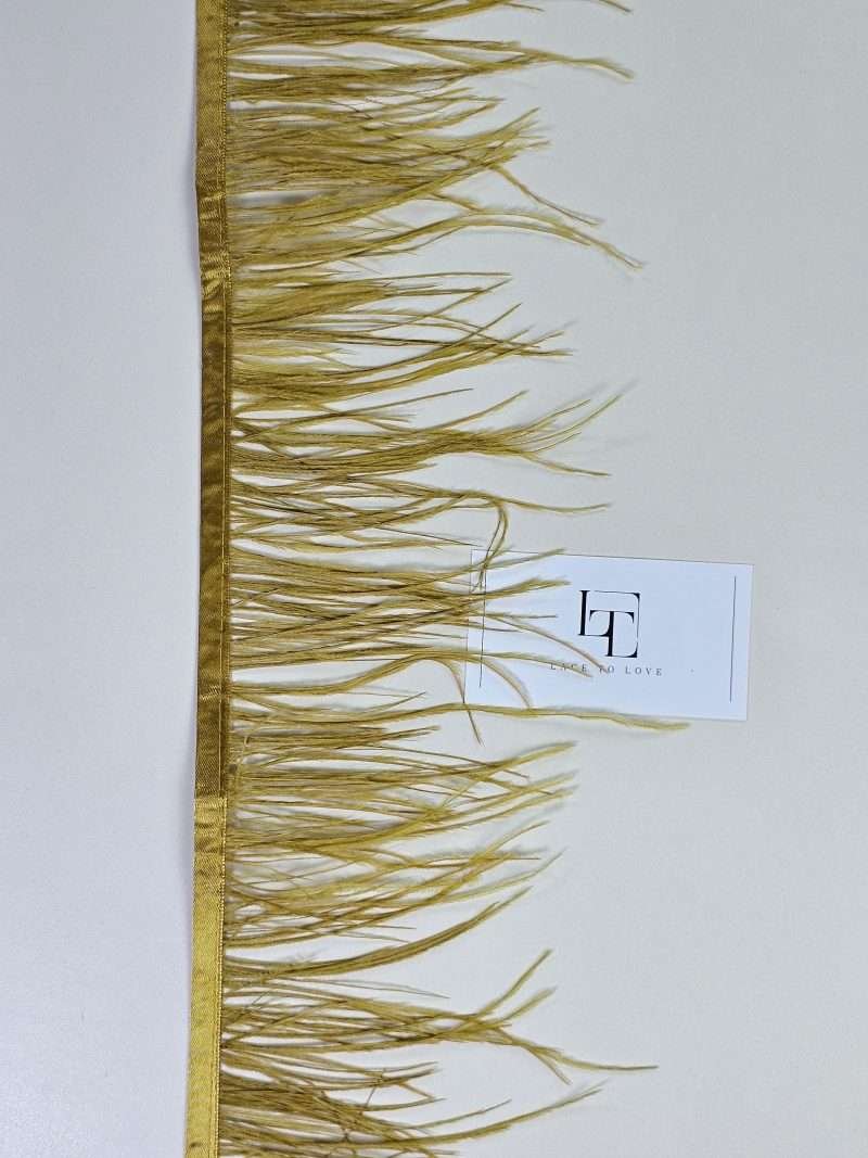 Natural ostrich feathers